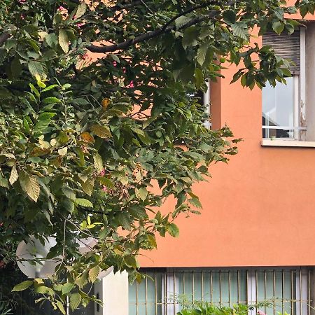 Apartmán Brera Cocoon Milán Exteriér fotografie